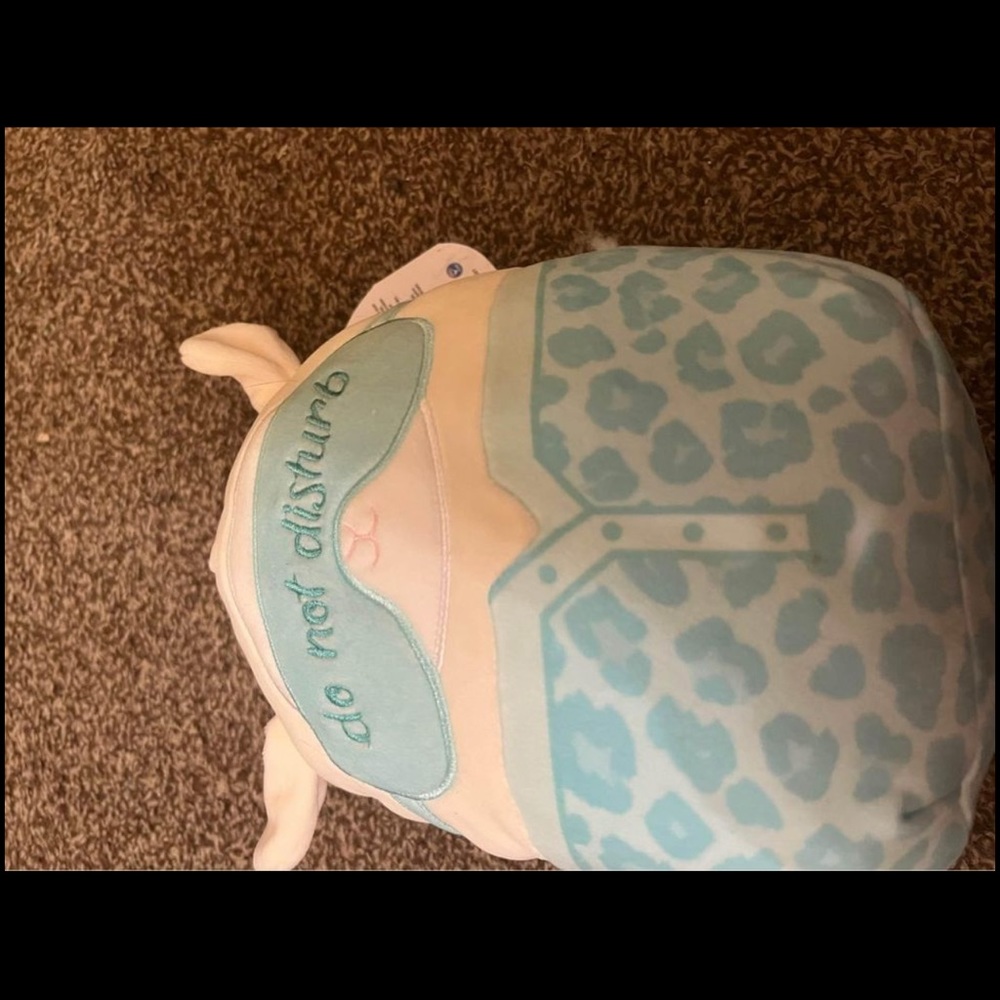 Sophie squishmallow
